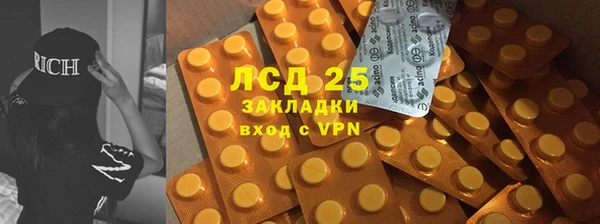 крисы Коряжма
