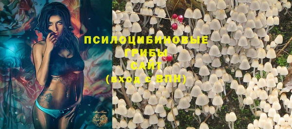стаф Абаза