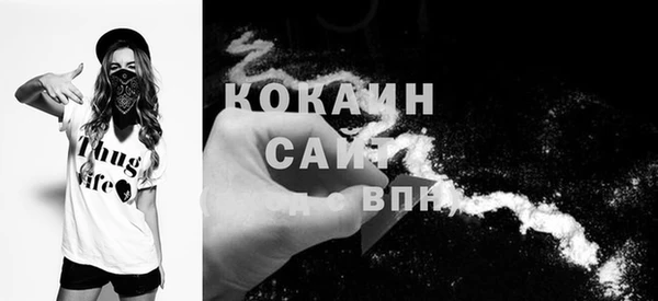 стаф Абаза