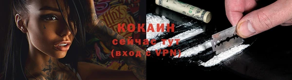 винт Костерёво