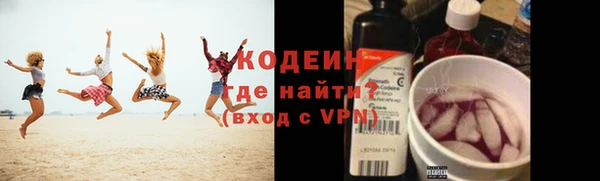 крисы Коряжма