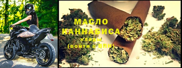 крисы Коряжма