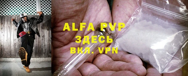 крисы Коряжма