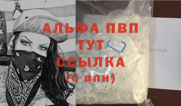 стаф Абаза