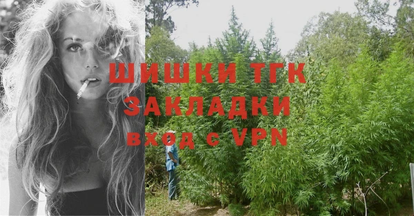 стаф Абаза