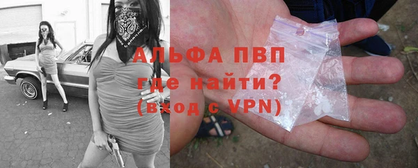 стаф Абаза