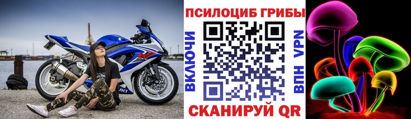 мега рабочий сайт  Воронеж  маркетплейс наркотические препараты  Псилоцибиновые грибы Psilocybine cubensis 